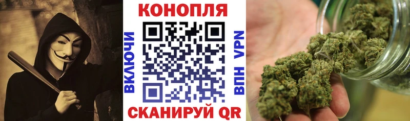 Каннабис ГИДРОПОН  Купить  Куса 